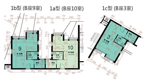 山麗苑風水|2020新居屋揀樓攻略(四) – 山麗苑 (消耗表、戶型分佈。